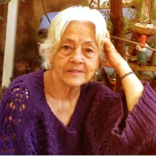 Foto ilustrativa do produtor Adélia Prado