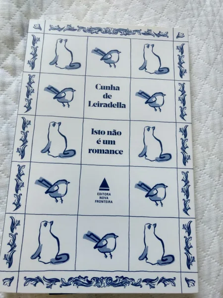 Isto não é um romance