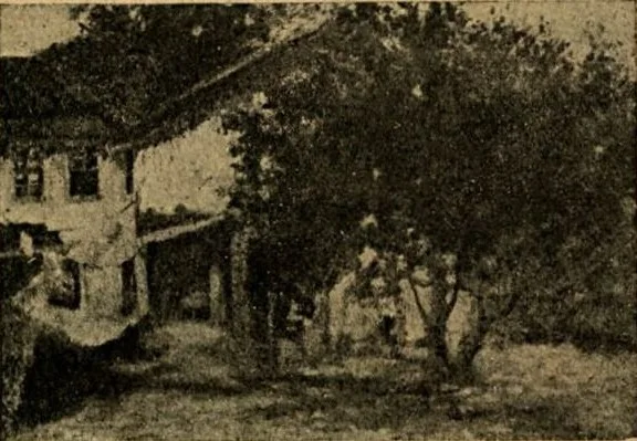 Fazenda Velha