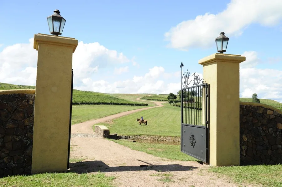 Bueno Wines
